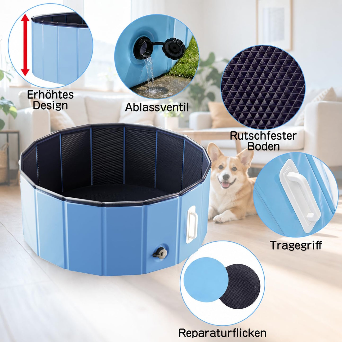 DEWEL Hundepool Faltbar Ø80 x H30 cm für kleine Hunde